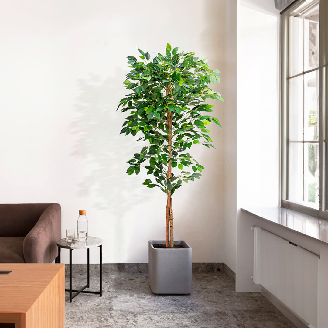 FAUX PLANTS
