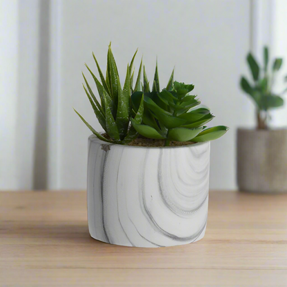 Artificial Plant Round Concrete