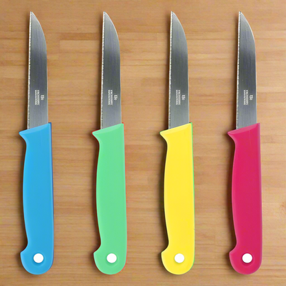 Paring Knife (Set of 4 Pcs)
