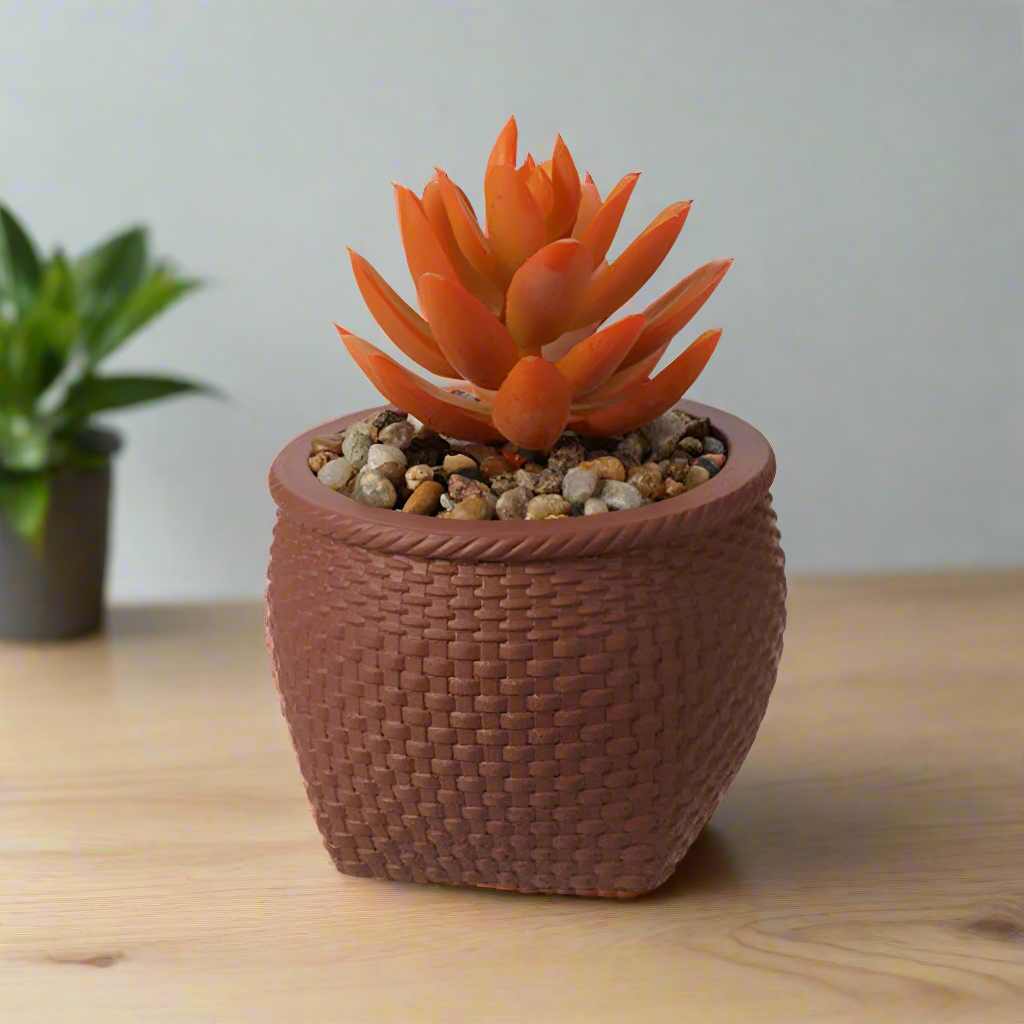 Faux Plant In Cement Pot