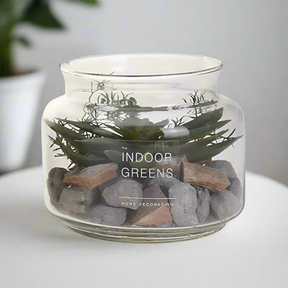 Succulent Plant in Glass Pot