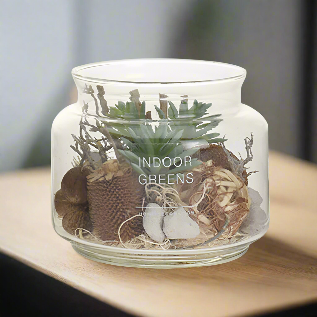 Succulent Plant in Glass Pot
