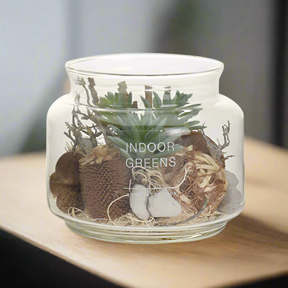 Succulent Plant in Glass Pot