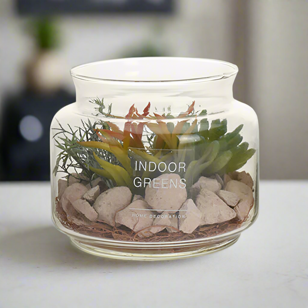 Succulent Plant in Glass Pot