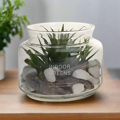 Succulent Plant in Glass Pot