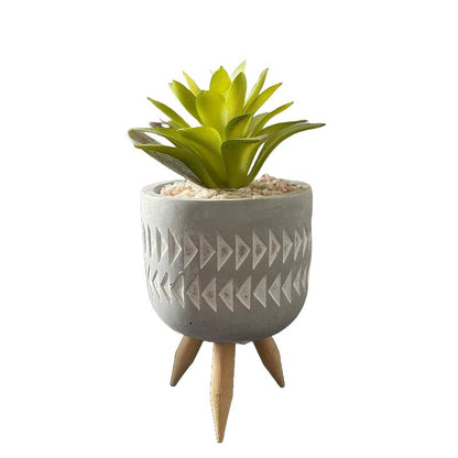 Plant In Pot Cement